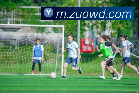 问鼎28发展历程